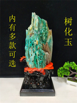 Kistle green Burmese tree Jade fossils paleontological fossils ornamental stone rough ornaments gift collection