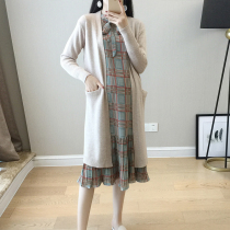Pregnant women autumn temperament dress fashion small fresh foreign style Korean loose pregnant women skirt 2021 autumn and winter