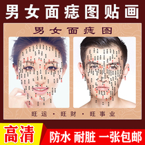 Point mole diagram Male and female face mole diagram mole removal poster beauty salon face opening operation to obtain mole face advertising sticker customization