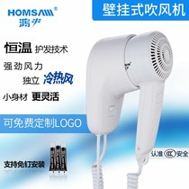 Hongshen Hotel Hotel Bathroom Toilet Household Hair Dryer Skin Dryer Wall-mounted Electric Hair Dryer