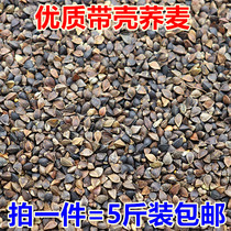  Buckwheat Shelled Buckwheat Carrier pigeon Ornamental pigeon Parrot Bird food Hamster Chinchilla food 1 piece=5 kg