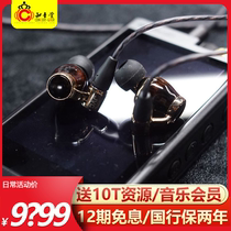 JVC Jiewei HA-FW10000 FWW headphones in-ear HIFI fever wood diaphragm victory flagship earplugs