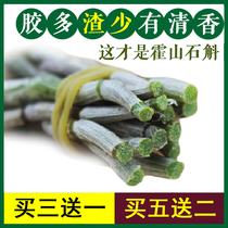 The source of Dendrobium fresh imitation wild authentic Huoshan Dendrobium candidum fresh strips can be used as Dendrobium candidum