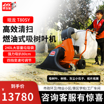 Tanlong T80SY leaf suction machine large self-walking gasoline property Lawn Park school grass leaf sweeping machine