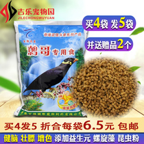 Hong Kongs top 100 births eating bird feed