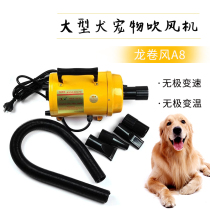  Yunhe pet water blower Golden Retriever Labrador large dog hair dryer Tornado A8 high power 2400W