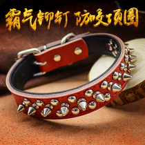 Fierce dog anti-bite neck ring Puppy dog chain method bulldog collar female m traction rope metal rivet bull leather midsize canine