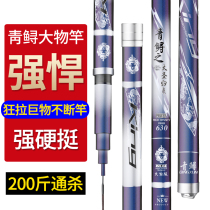 New green sturgeon fishing rod high carbon super hard 10H 19 tone violent black pit big Rod giant rod fishing rod