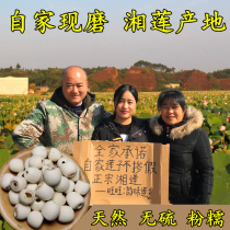 New goods Xiangtan Xianglian coreless White Lotus farmhouse specialty dry goods to the core self-produced grinding white lotus seed inch three Lotus 500g