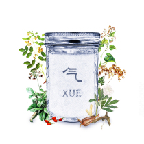 Qi Blood Double Tonic Palace Cold Preparation Aunt is less than tonic with harmonic in fine blood as the spindle