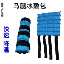 Ice bag Horse leg guard horse leg ice pack Cooling Flatulary fatigue Fatigue Sports Equestrian Blue Horse Muscle Tendons Relieving Horses