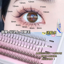 Fishtail A Type Fairy Hair Undereye Eyelash ~ Single Tuft Root Fairy Fake Eyelash Supernatural Money Emulation Graft Little Devil