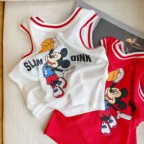 Speed Dry Basketball Suit Kids Sleeveless Vest Shorts Children Sports Suit Boy summer jersey Two sets of women