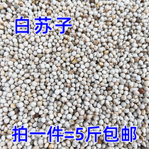 2021 bird food feed white Su Zi white Su seed parrot canary hibiscus bird jade bird yellow finch bird food 5kg