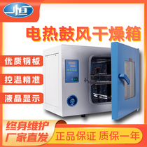 Yiheng electric blast drying oven Laboratory oven DHG-9030A 9145A stainless steel industrial oven 101