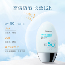 Little Buddha South Korea new version of Typha Sunscreen 60ml SPF50 refreshing moisturizing sunscreen SHANGPREE