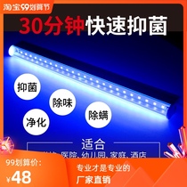LED UV lamp 24v ultraviolet bacteriostatic lamp 12V Blue Purple Light 110V antibacterial ultraviolet lamp