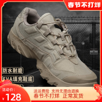 Military fans outdoor shoes men's spring and autumn sports shoes hiking shoes tactical waterproof breathable non-slip low-top hiking shoes men