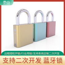 Smart padlock remote authorized unlocking high quality passive Bluetooth lock waterproof industry lock can be secondary development light gray