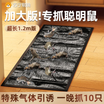 Mouse stickers strong sticky mouse magic carpet sticky mouse board rodent killing artifact to catch big mice viscose household mouse catching stickers 1780
