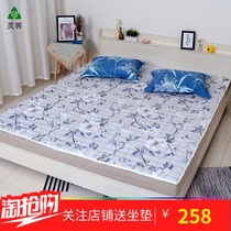 Ling Buckwheat buckwheat skin mattress Tartary buckwheat shell mattress Adult student single double folding health mattress Tatami mat