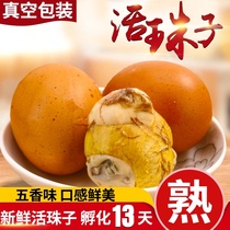 Five-flavored live beads 13 days nutrition chicken embryo egg happy egg non-hairy egg cooked 20 packs