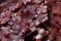 28mm Pink Butterfly Beishan Tea of the 28mm Pink