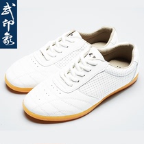 Wu Impression Taiji Shoes Womens Spring and Summer Wushu Practice Shoes Taijiquan Shoes Mens Morning Shoes Competition Performance Shoes