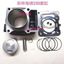 Adapted to Zongshen three-wheeled motorcycle tsunami Verevo 250 300 350 water-cooled engine cylinder and components