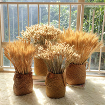 Natural Straw flower basket vase wheat ear Reed rice decoration ornaments pastoral storage basket retro dried flower rabbit tail grass