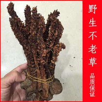 Bulaochao Changbaishan Cistanche soaked in wine and boiled soup
