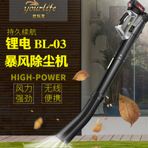Rechargeable hair dryer blower lithium battery industrial computer dust collector electric soot blower household wireless high power