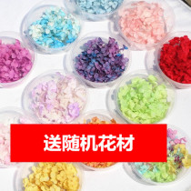 Buy and send dried flowers forever flower hydrangea diy handmade material glass cover plant embossed hand tent decorative material