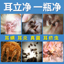 Dog ear mite ear drops Teddy Cat ear Mite Dog ear drops Pet supplies Ear cleaning Cat ear wash