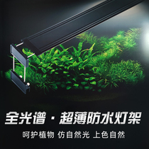 Rainforest tank water and land tank full spectrum light ed fill light plant fleshy fish tank landscape micro landscape aquatic light l