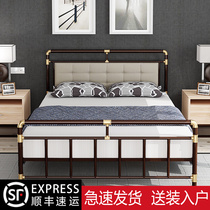 European-style iron bed net red princess bed light luxury double bed 1 8 single children's bed modern simple iron frame bed 1 5