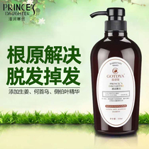 Anti-hair loss fertility by additional dense hair men hair ginger oil control dandruff itching ginger anti-hair loss shampoo