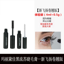 Mary Dajia mascara sample encryption extended trial suit recommended not to be dizzy not to take off makeup for men and women