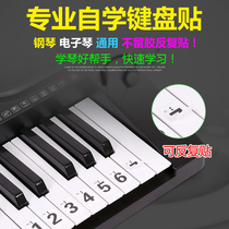 Piano Keyboard Stickers 88 Keys 61 Electronic piano Hand Roll Piano Keys Staff Notation Key Notes Phonetic Alphabet Number Stickers