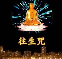 (The curse) electric disc revolve round blue light 25g