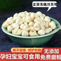 Chinese herbal medicine Chuan Fritillaria Sulfur-free Sichuan Fritillaria New Arrival Fritillaria 100g can play Chuan Fritillaria Powder
