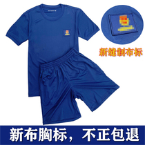 Fire physical training suit set flame blue summer training short-sleeved shorts round neck quick-drying T-shirt men
