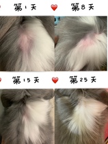 Rabbit compound probiotics package salt-deficient hair loss neck hair loss thin inner thigh works