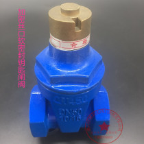 Encryption wire port soft seal gate valve Encryption with lock wire buckle gate valve Magnetic with key lock wire port gate valve DN