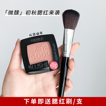 German catrice matte monochrome blush velvet gentle peach color apricot-colored bean paste color dried rose 025