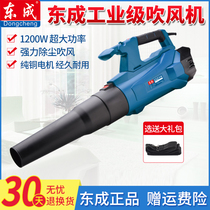  Dongcheng hair dryer FF-32 25 high-power dust removal Household small blower computer cleaning powerful vacuum cleaner