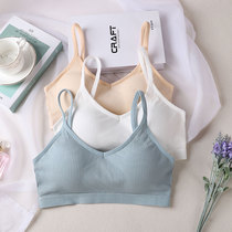 Underwear women without steel ring Sports small vest gathered with chest pad chest wrap chest type beauty back student bottom strap
