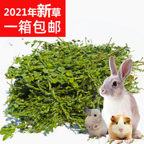 Alfalfa 2021 new grass rabbit Chinchoro pasture rabbit grain guinea pig feed hay gross weight 1000g