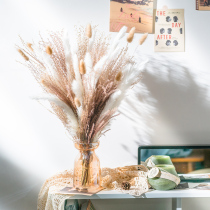 ins Nordic natural Reed dried flower bouquet Pan nature Passo home decoration room desktop furnishings