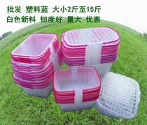 White new material plastic basket blueberry loquat raspberry Bayberry Bayberry peach orange cherry basket flat leak low automatic buckle